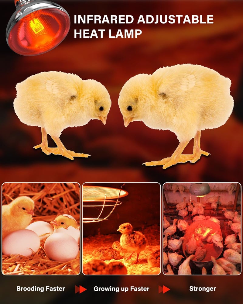 TobeBright مصابيح حرارة للدجاج في حظيرة الدجاج، 150 واط مصباح حرارة زاحف بالأشعة تحت الحمراء للكتاكيت، الطيور، البط، الكلاب، القطط (لمبة تسخين غير مشمولة) - تُباع فقط رسمياً - Image 4